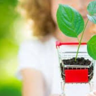 منتجات صديقة للبيئة