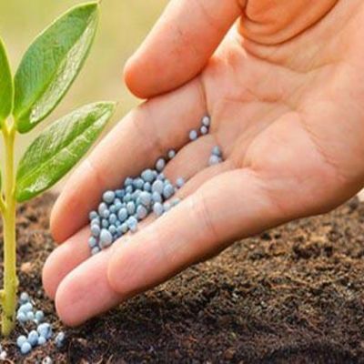 أسمدة الخضروات