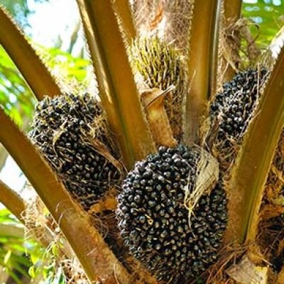 منتج 6 تجربة اسم منتج كامل على سطرين