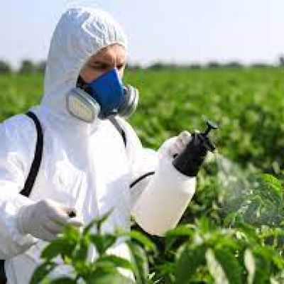 الأسمدة العضوية