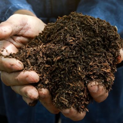 الأسمدة العضوية