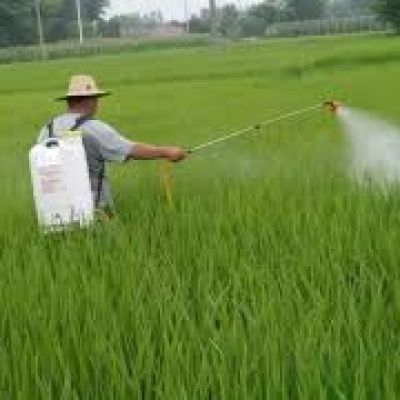 الأسمدة الورقية